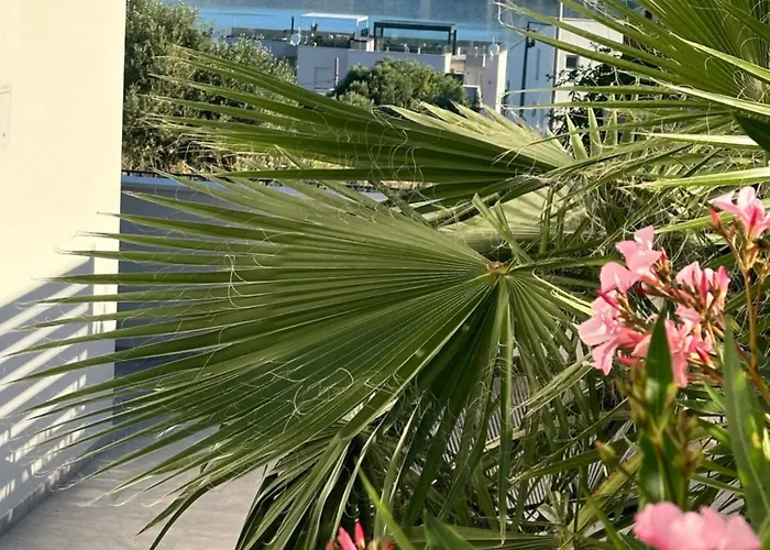 아파트 Luxury Palmview Mit Whirlpool Und Terrasse 트로기르